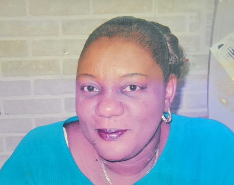 Daveann Johnson